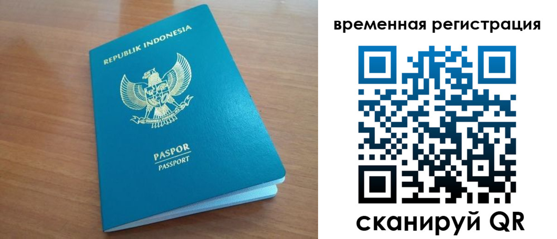 прописка законно в Светогорске